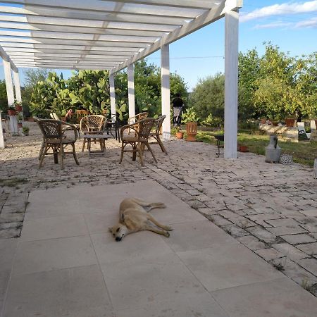 诺托Agriturismo Gaia别墅 外观 照片