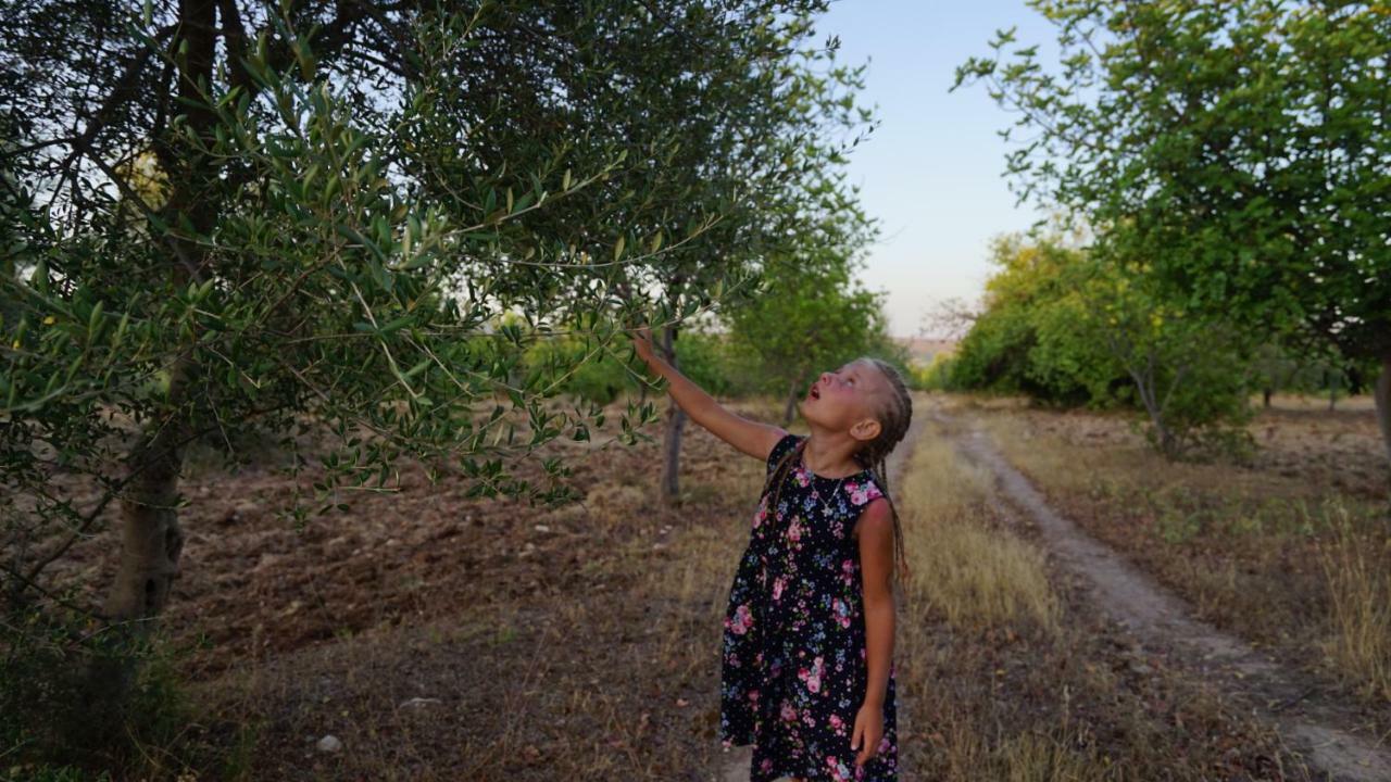 诺托Agriturismo Gaia别墅 外观 照片