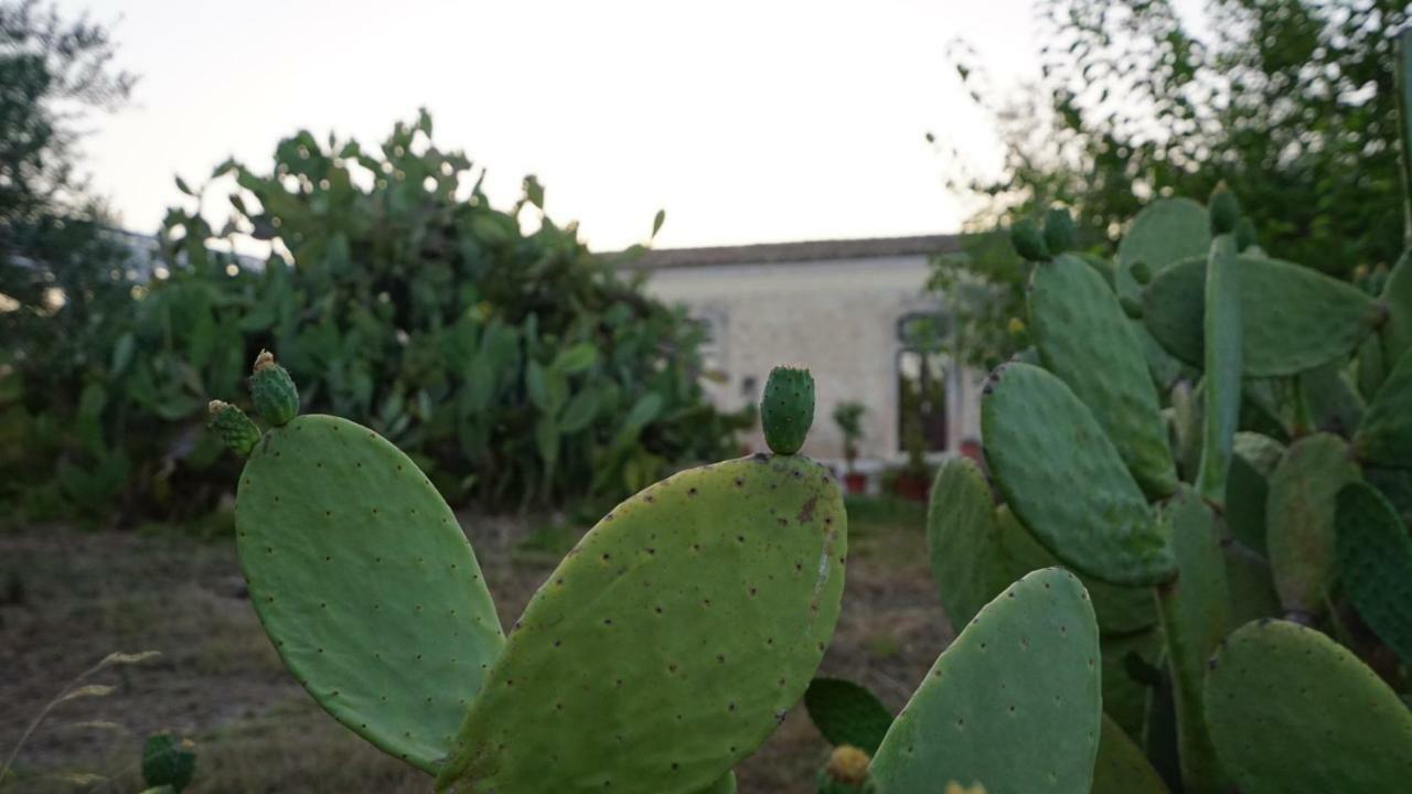 诺托Agriturismo Gaia别墅 外观 照片